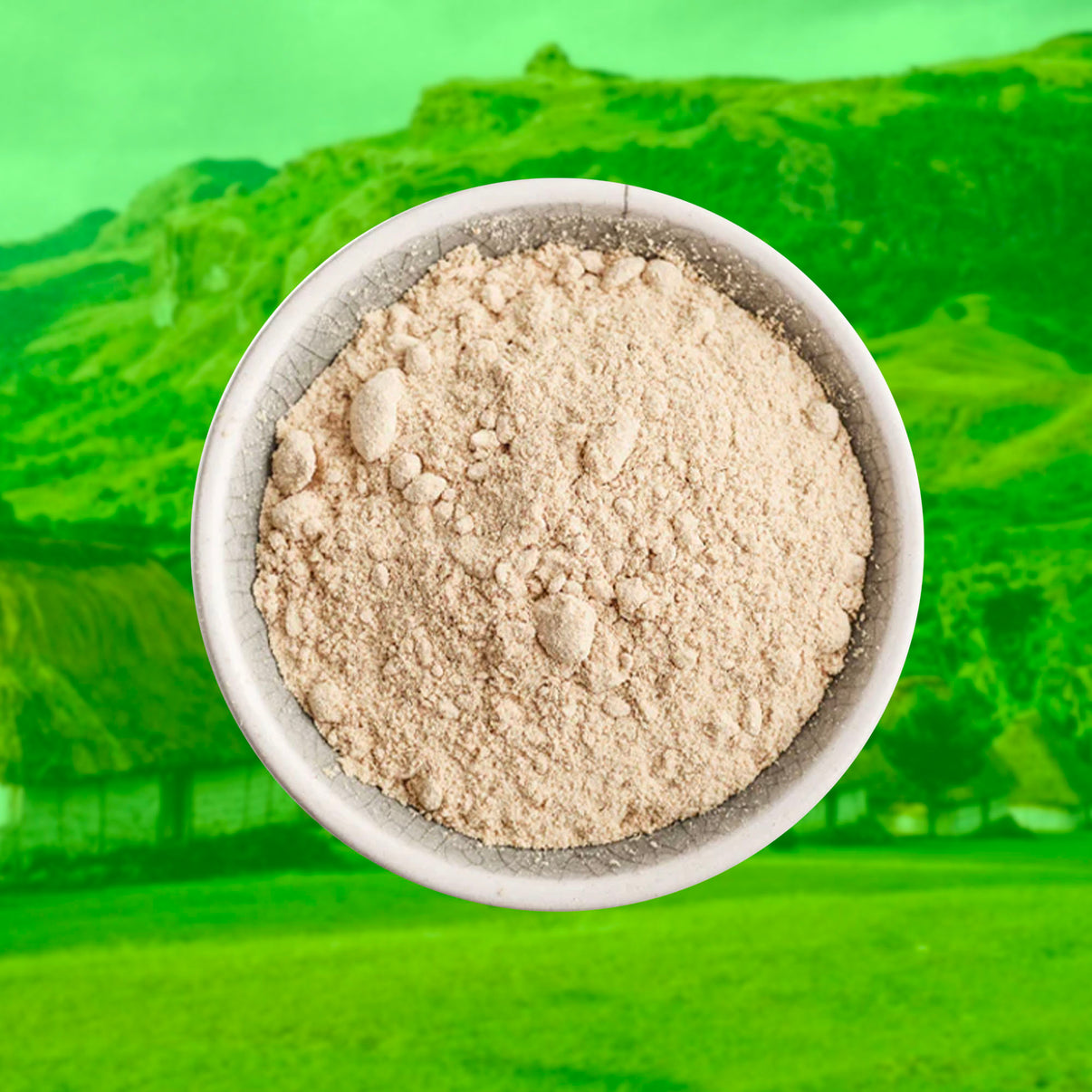 Fijian MidStrength Micronized Kava 10 KG Wicked Cool Wellness